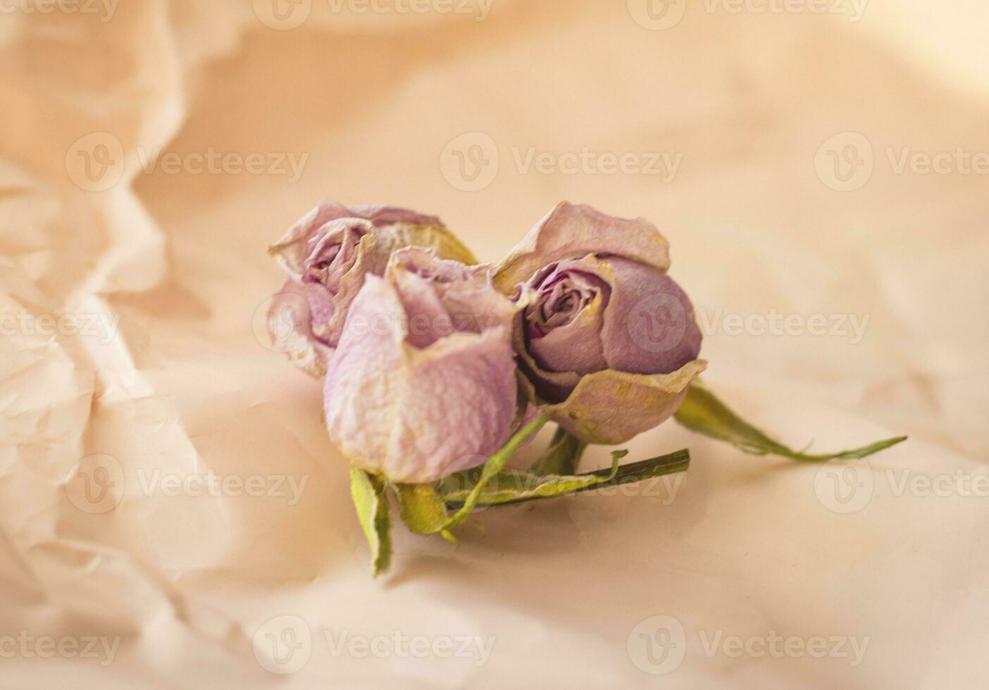 Concept shot of the background theme, wrapping paper, dried roses other flowers and other arrangements. Valentines day photo