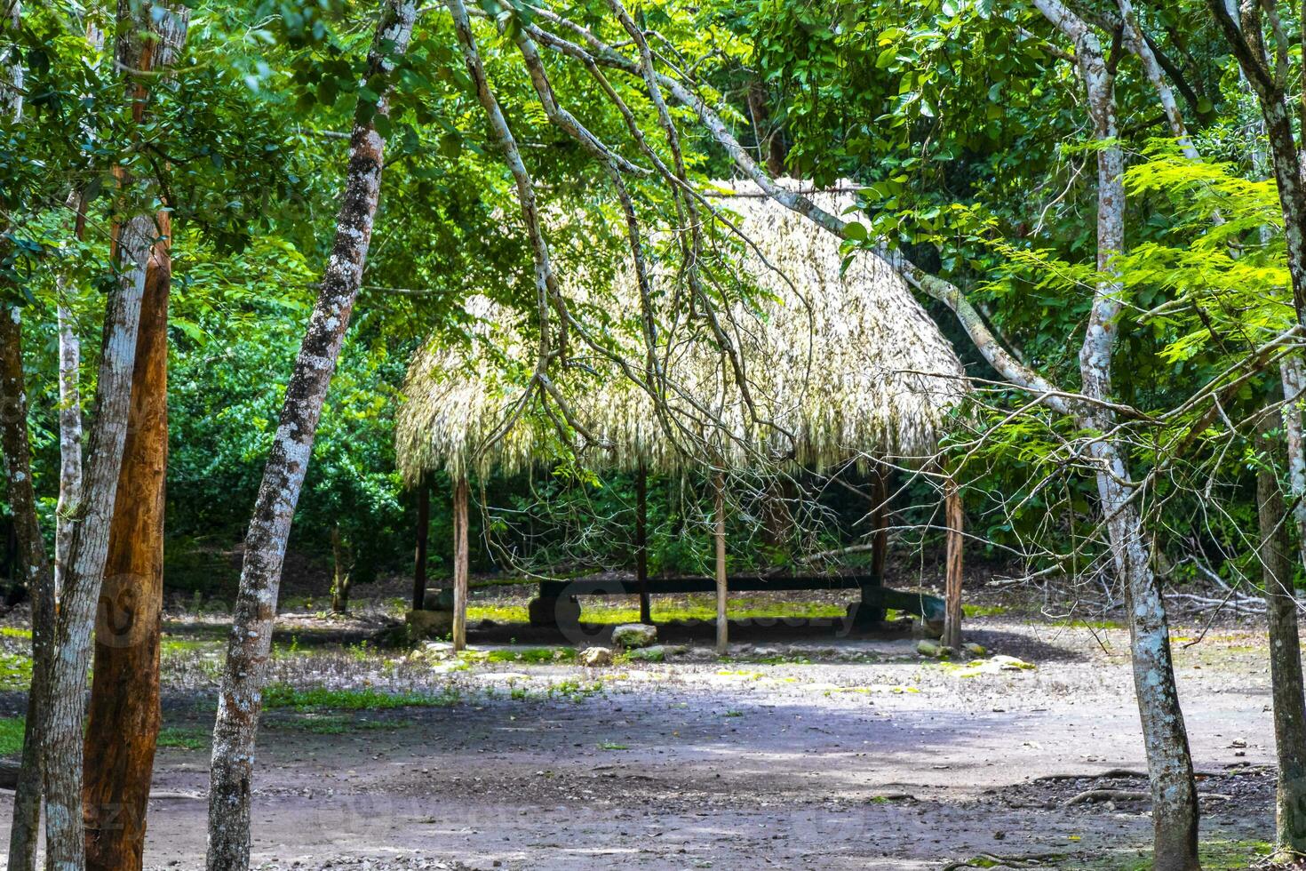 Palapa hut house cabin in tropical jungle Coba ruins Mexico. photo
