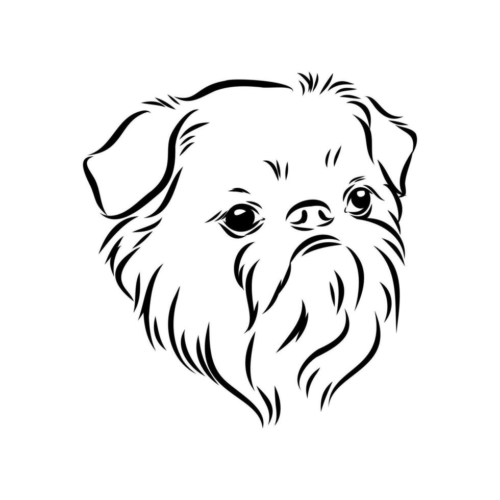 Brussels griffin dog vector sketch
