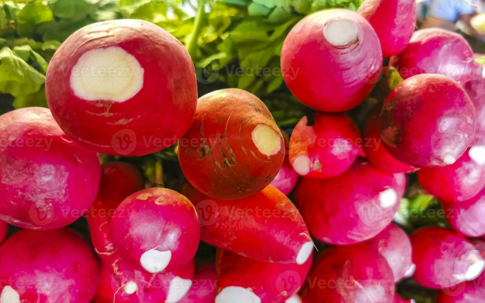 Many radish on the market Texture in Puerto Escondido Mexico. photo