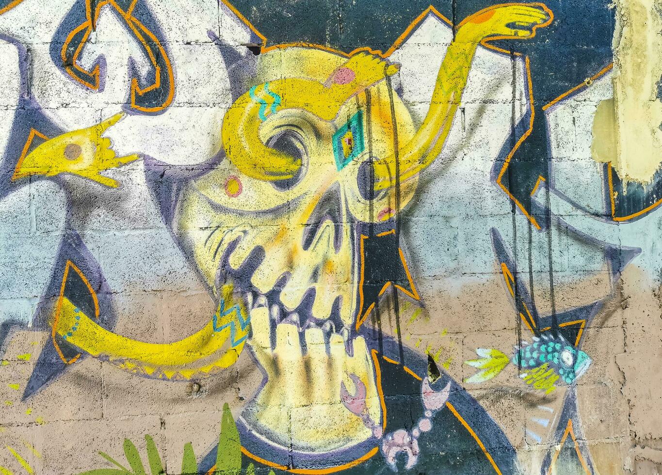 Playa del Carmen Quintana Roo Mexico 2023 Artistic walls with paintings and graffiti Playa del Carmen Mexico. photo