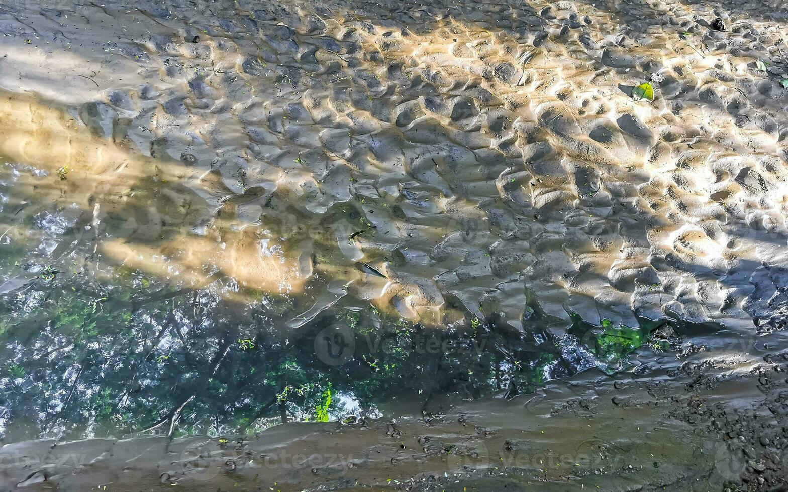 Open sewerage system in the tropical jungle mountains Mexico. photo