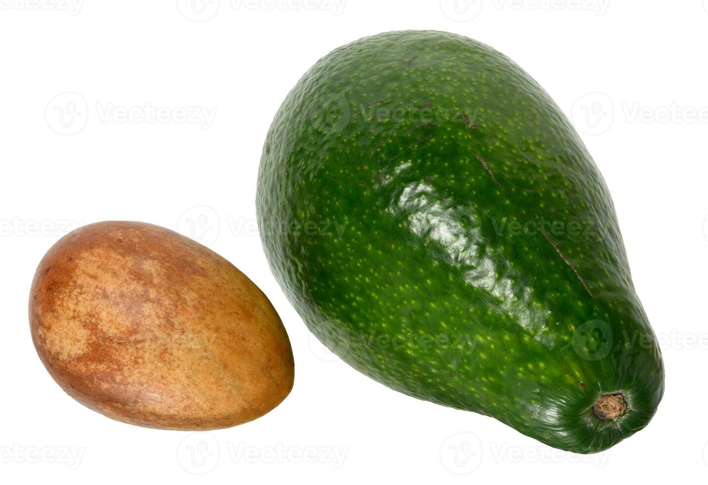 Whole green avocado fruit and pit isolated on white background photo