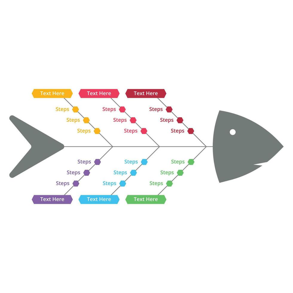 Fish shape colorful directional and presentation infographic vector. Fishbone infographic vector design. Official or academic infographic design in a fishbone shape with colorful text sections.