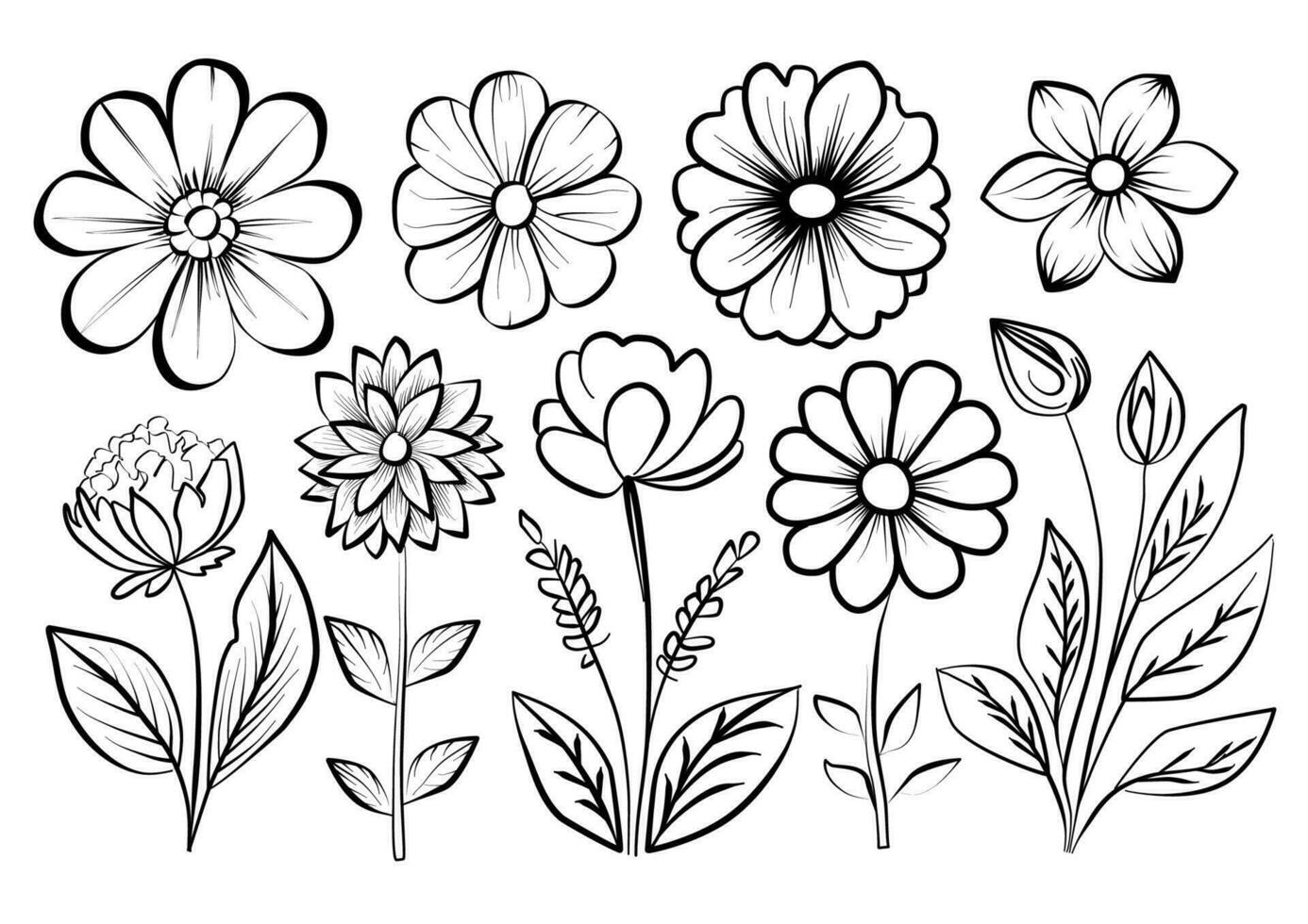 botánico letras. mano dibujado continuo línea dibujo de resumen flor, floral, rosa, tropical hojas, primavera y otoño hoja, ramo de flores de Olivos. vector ilustración.