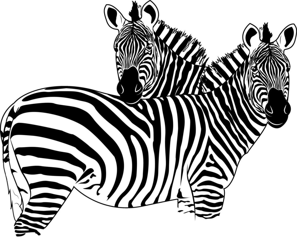 Zebra. Striped horse, African savannah animal, striped skin, linear pattern. Wild animal, cute character. Design of greeting cards, posters, patches, prints on clothes, emblems. Seth. vector