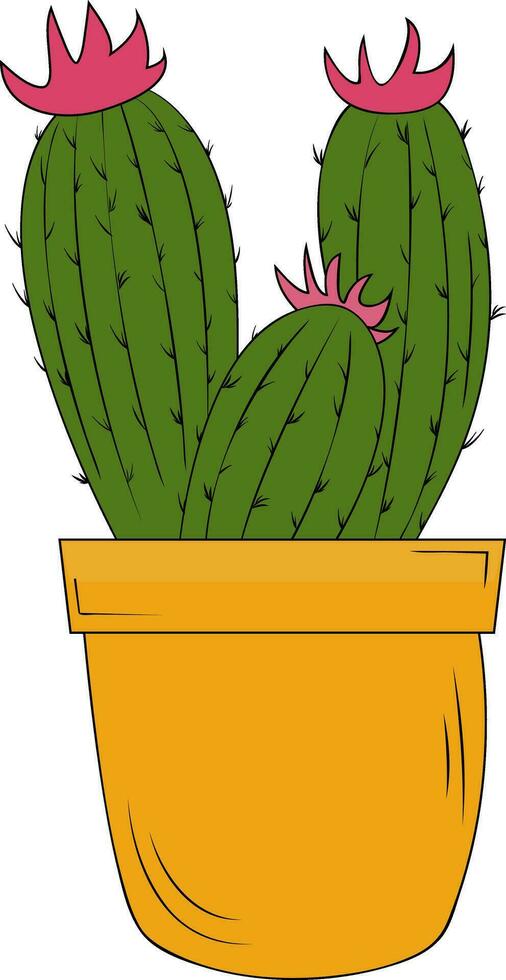 Cactus in a pot on a white background. The cactus illustration can be used as a print, home or garden decoration. Design of greeting cards, posters, patches, prints on clothes, emblems. Flower. vector