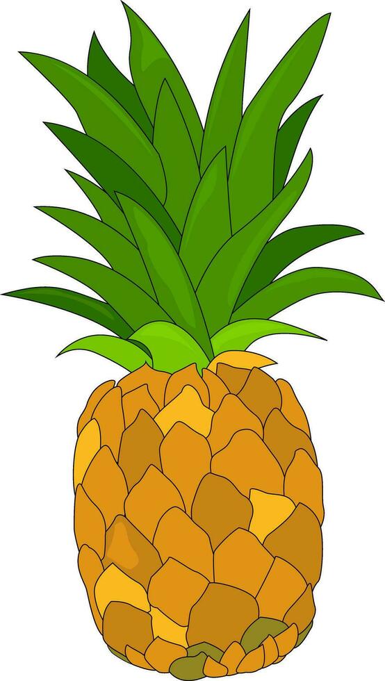 Pineapple with leaves. Pineapple fruits. Pineapple exotic tropical fruit. Natural product. Healthy eating and diet. Design of greeting cards, posters, patches, prints on clothes, emblems. vector