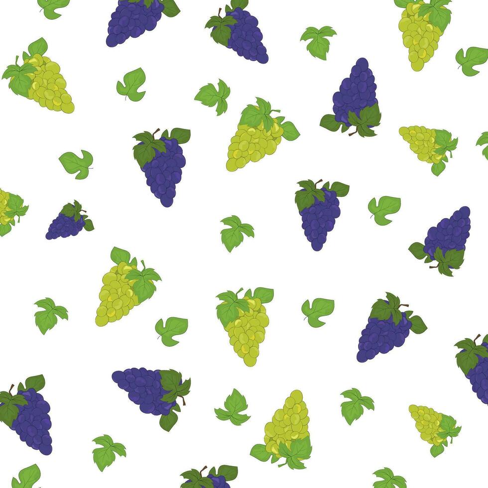 Grapes pattern. Fruit pattern. Fruit mixture background. Texture for fashionable clothing print. Design of greeting cards, posters, patches, prints on clothes, emblems. Grape. vector
