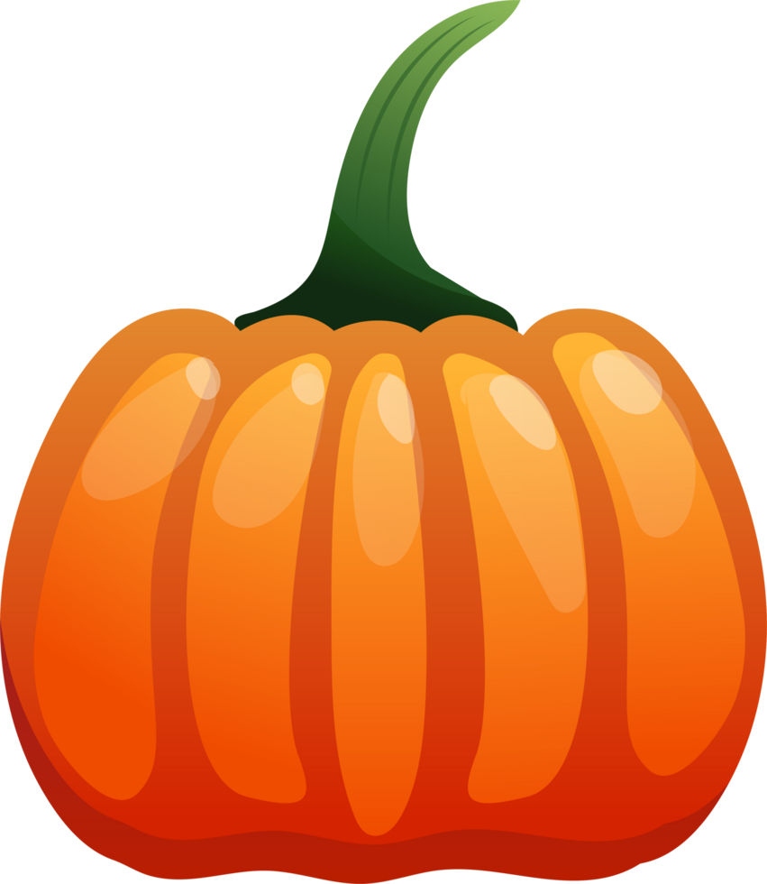 Cute Pumpkin Illustration png
