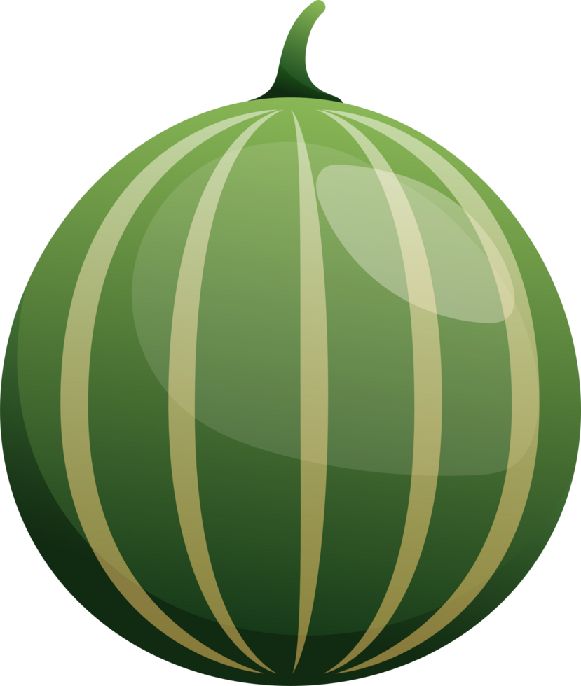 Cute Melon Fruit Illustration png