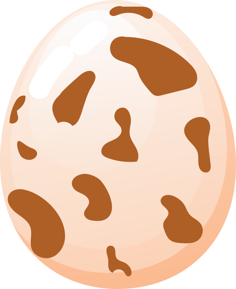 Cute Quail Egg Illustration png