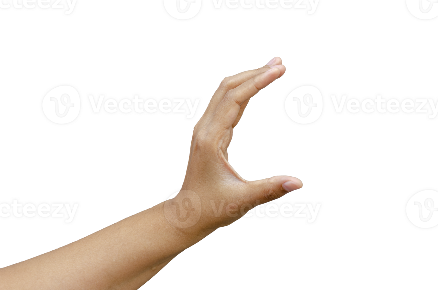 young woman hand holding something object on transparent background png