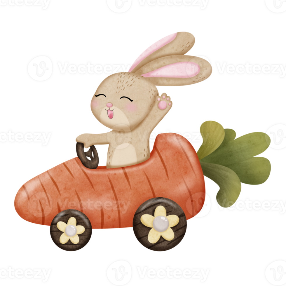 Rabbit driving carrot car png