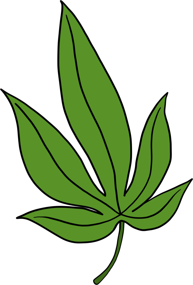 dessin à main levée feuille de cannabis simplicité png