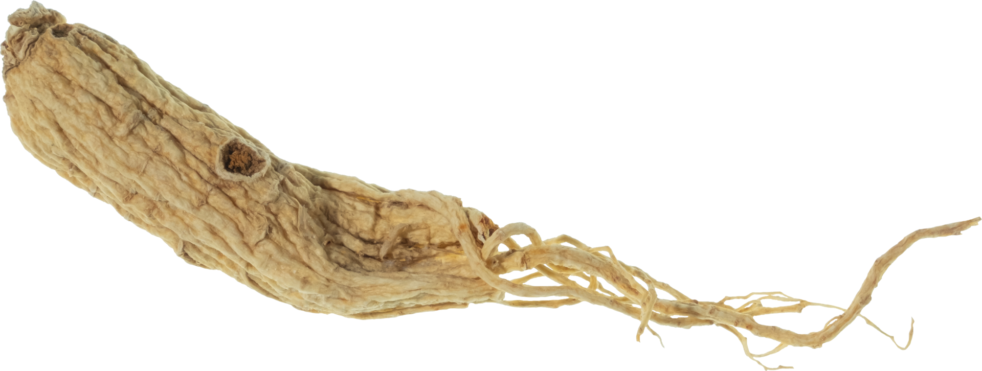 ginseng Couper en dehors sur transparent Contexte. png