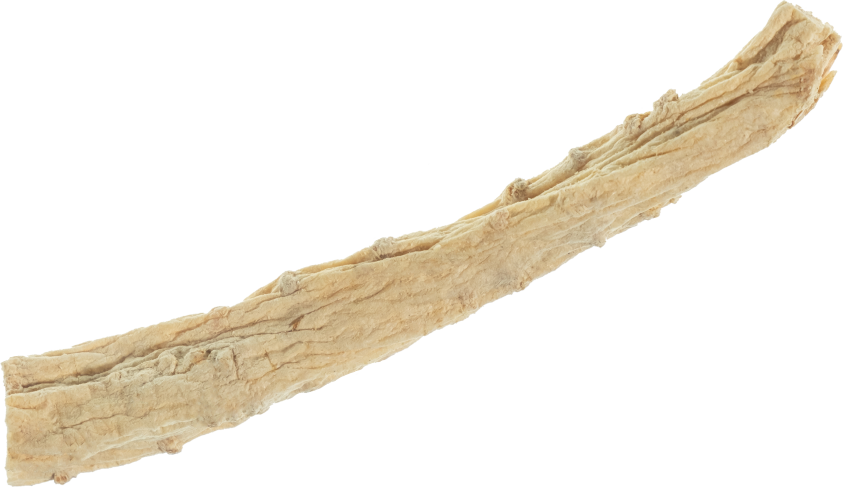dang shen stick cut out on transparent background. png