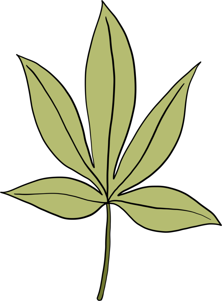 simplicity cannabis leaf freehand drawing png