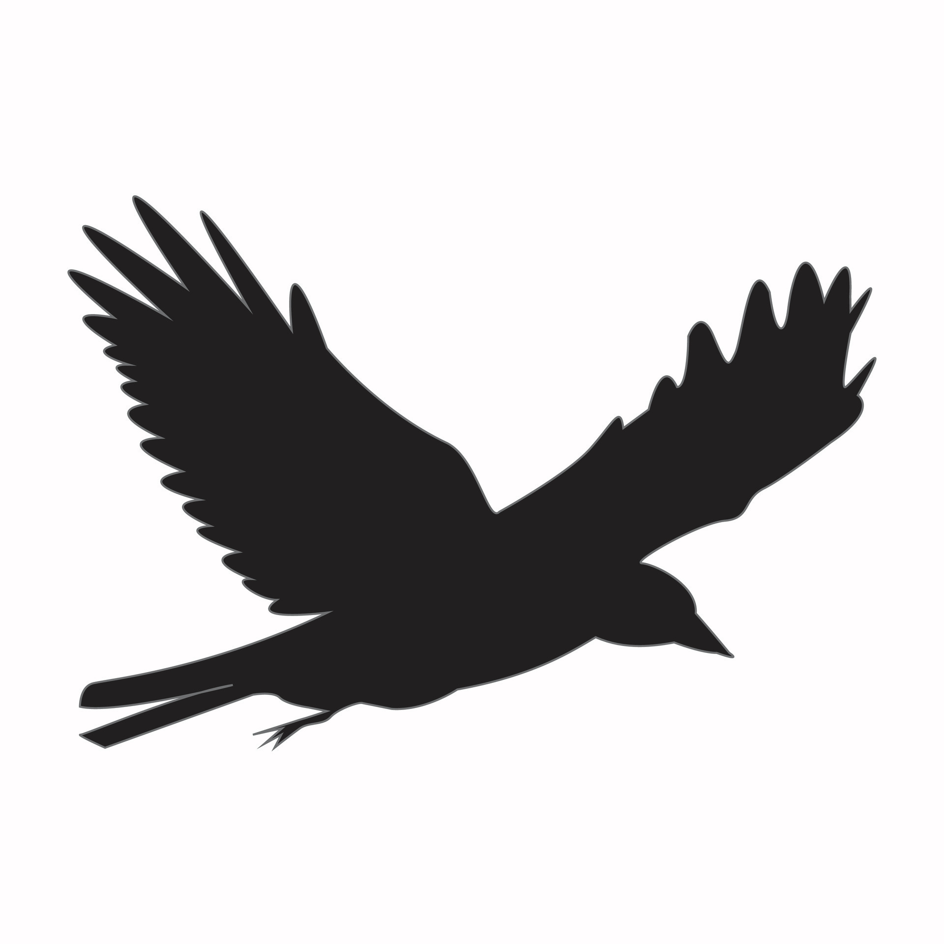 Black Bird illustration vector eps 36445003 Vector Art at Vecteezy