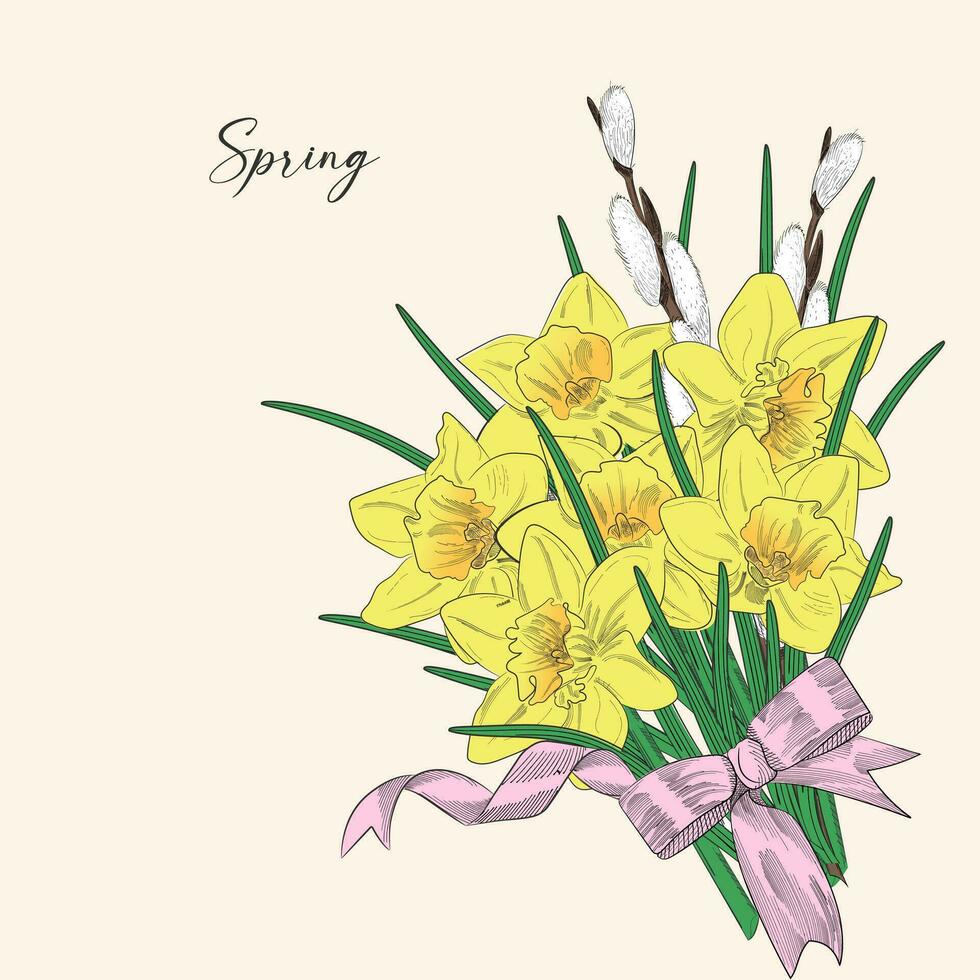 Floral bouquet with spring flowers. Vector vintage botanical illustration. Daffodil, willow with bow and ribbon.