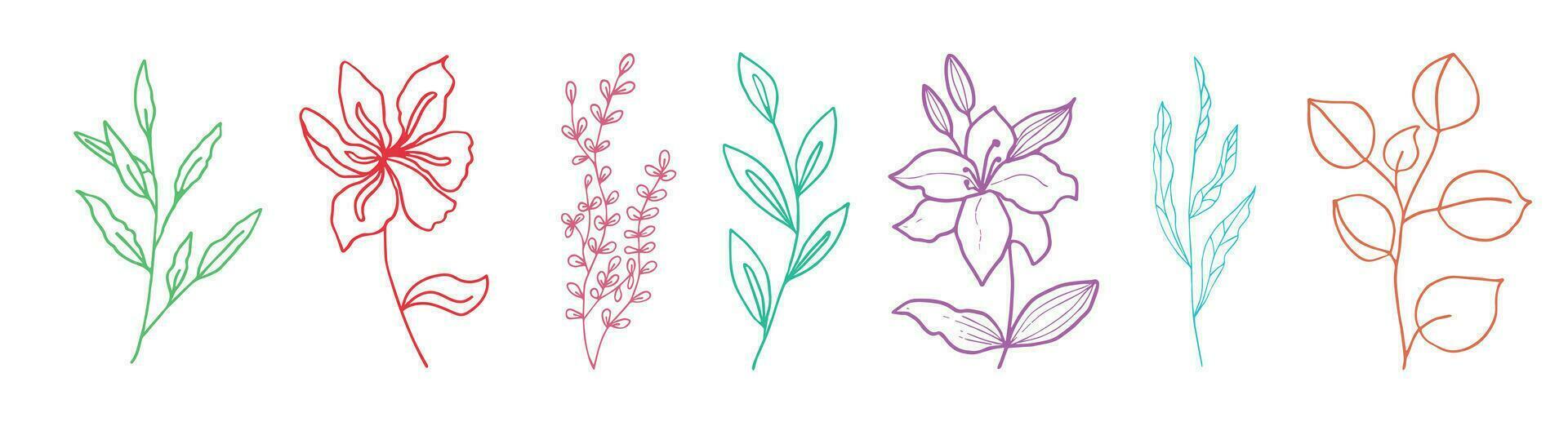 Flowers and twigs drawn by hand. Elements for the design of postcards. vector