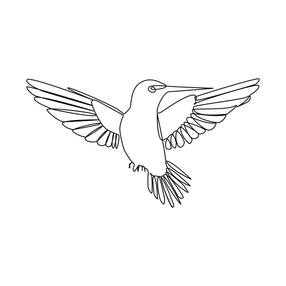 Humming bird continues single line art and outline vector illustration on white background and minimal