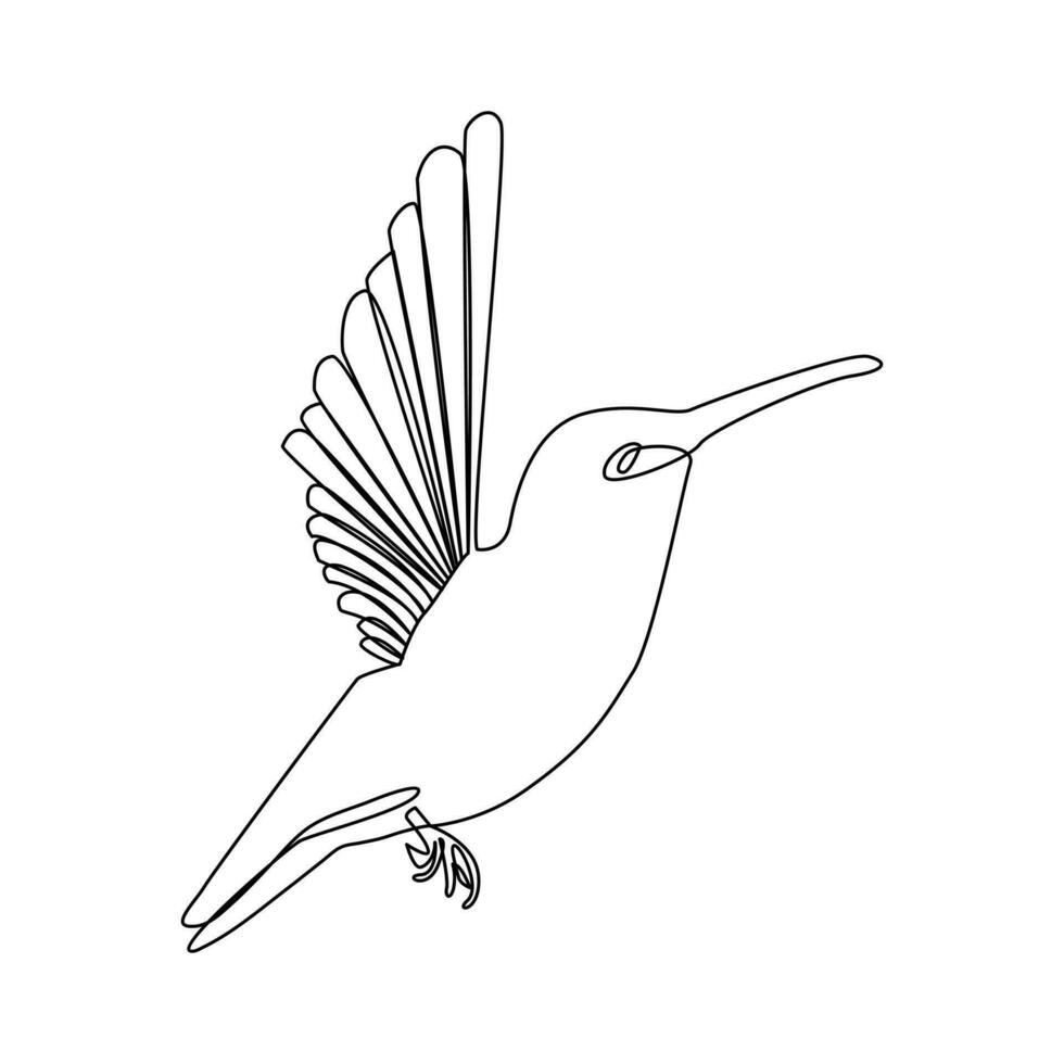 Humming bird continues single line art and outline vector illustration on white background and minimal