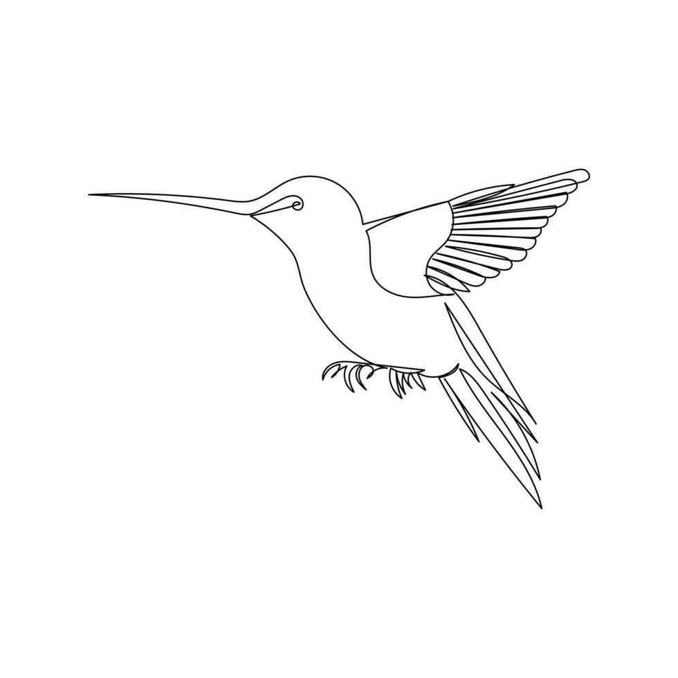 Humming bird continues single line art and outline vector illustration on white background and minimal