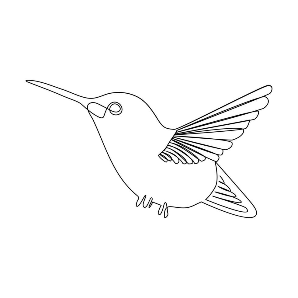 Humming bird continues single line art and outline vector illustration on white background and minimal