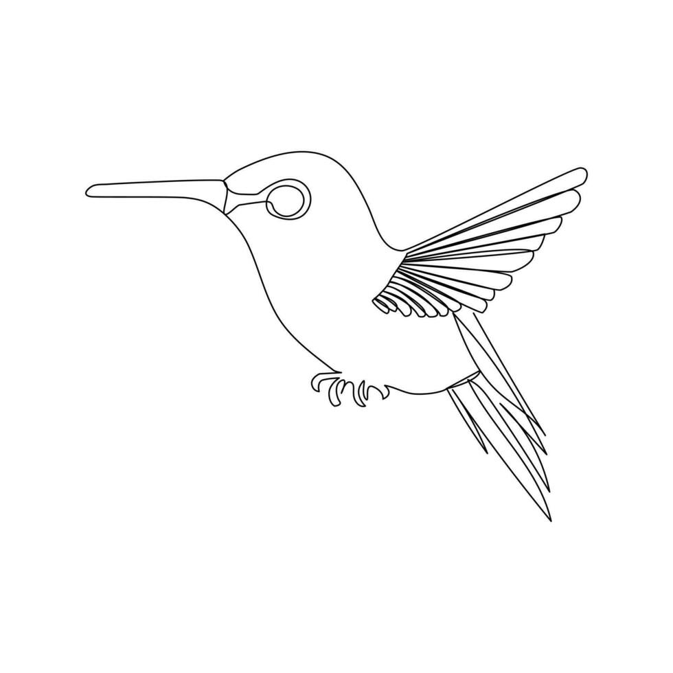 Humming bird continues single line art and outline vector illustration on white background and minimal