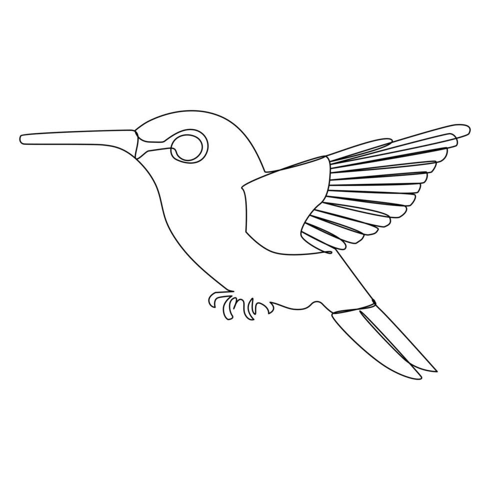 Humming bird continues single line art and outline vector illustration on white background and minimal