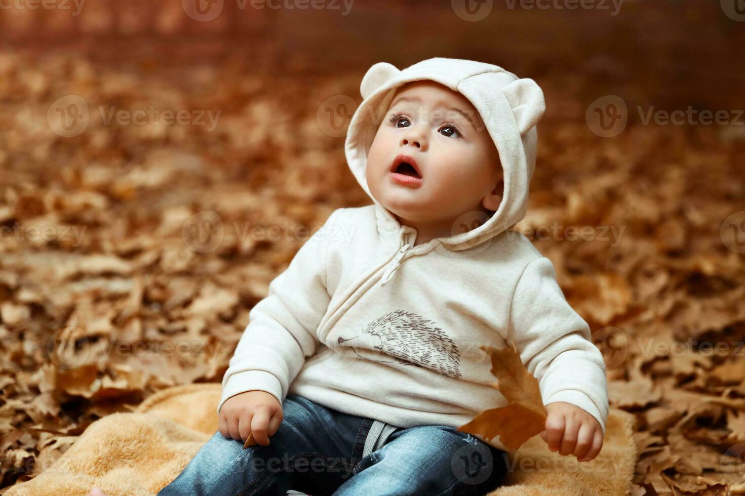 Little curious boy in the autumn forest photo