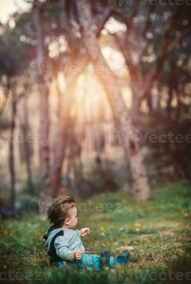 Little boy in the forest photo