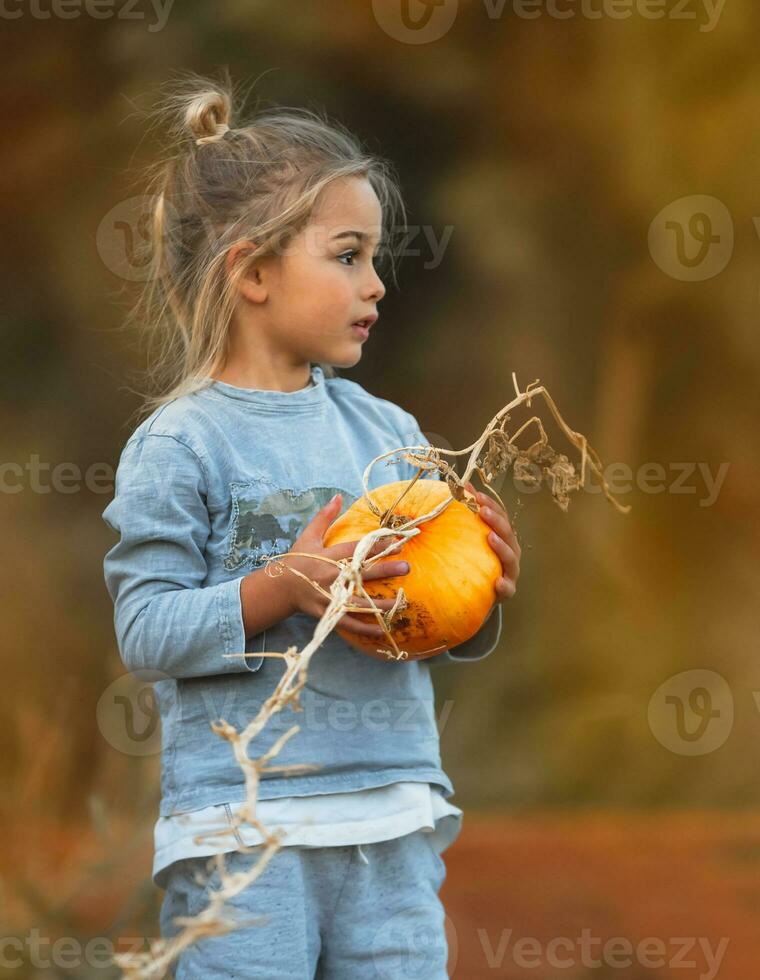 Little Boy with Pumpkin photo