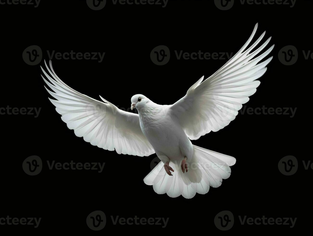 AI generated Beautiful White Dove Flapping Its Wings Isolated on Black Background. Generative AI photo