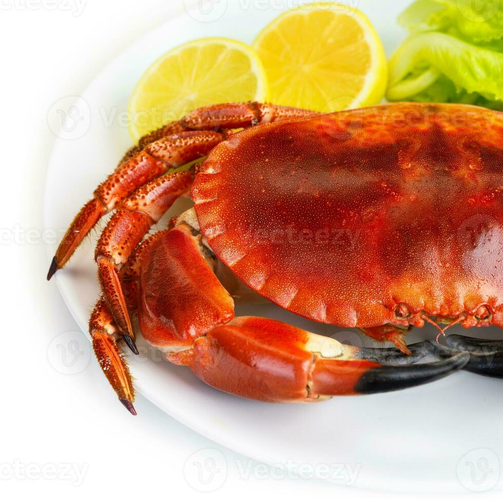 Red tasty boiled crab photo