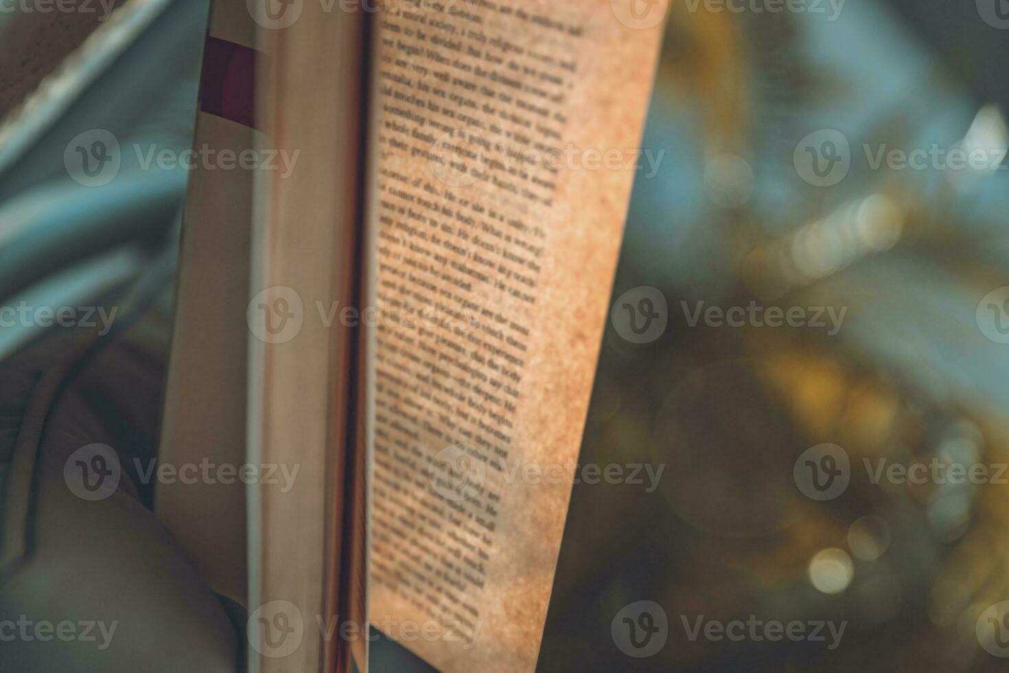 Reading on the beach photo