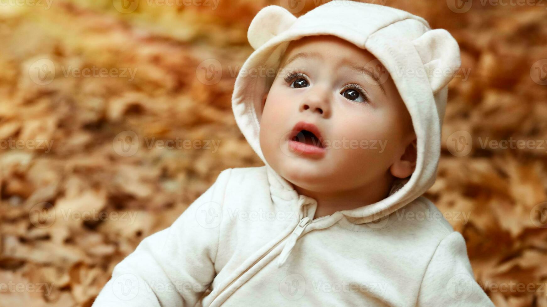 Little curious boy in autumn forest photo