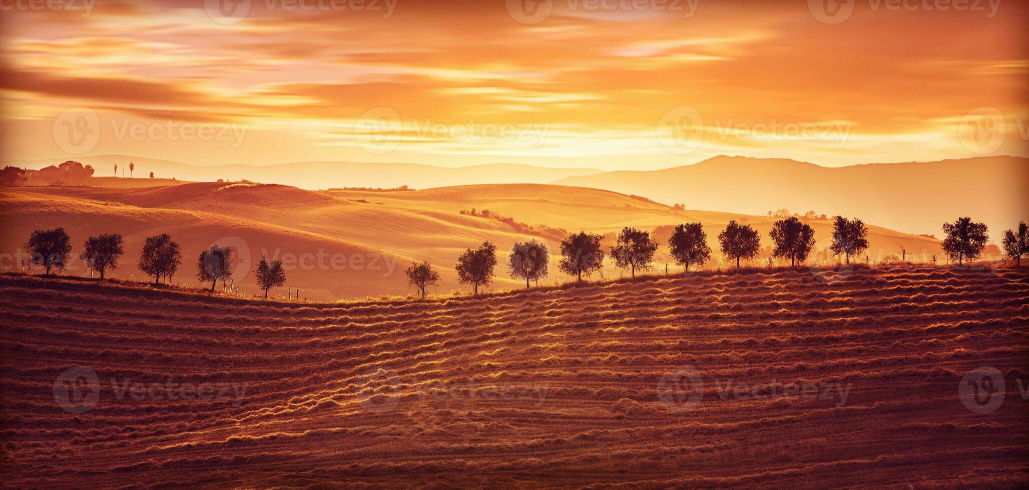 hermoso paisaje de campo foto