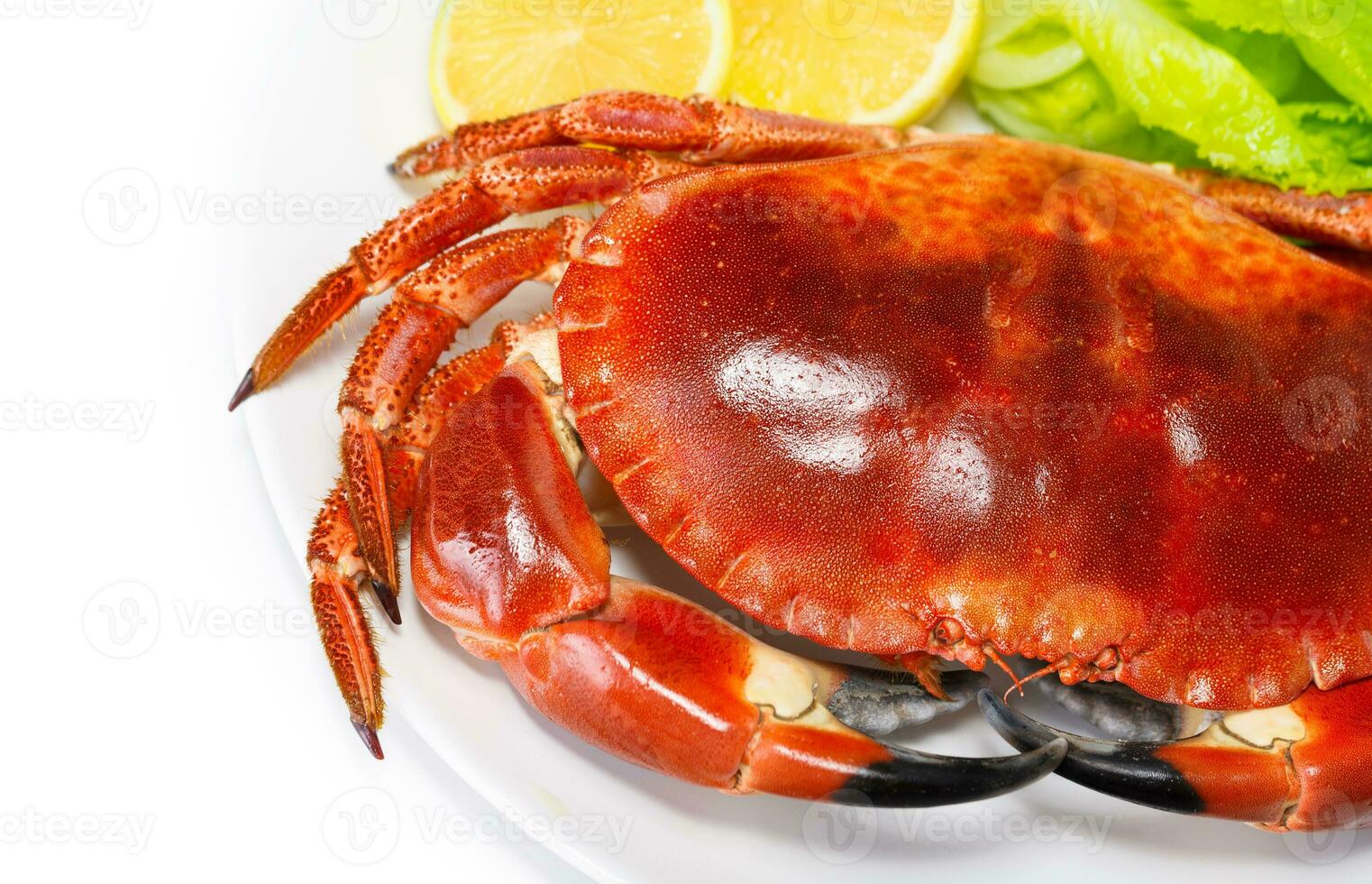 Red tasty boiled crab photo