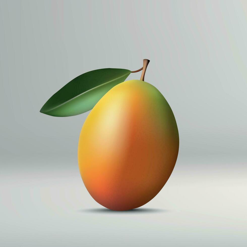 mango aislado en blanco antecedentes. vector