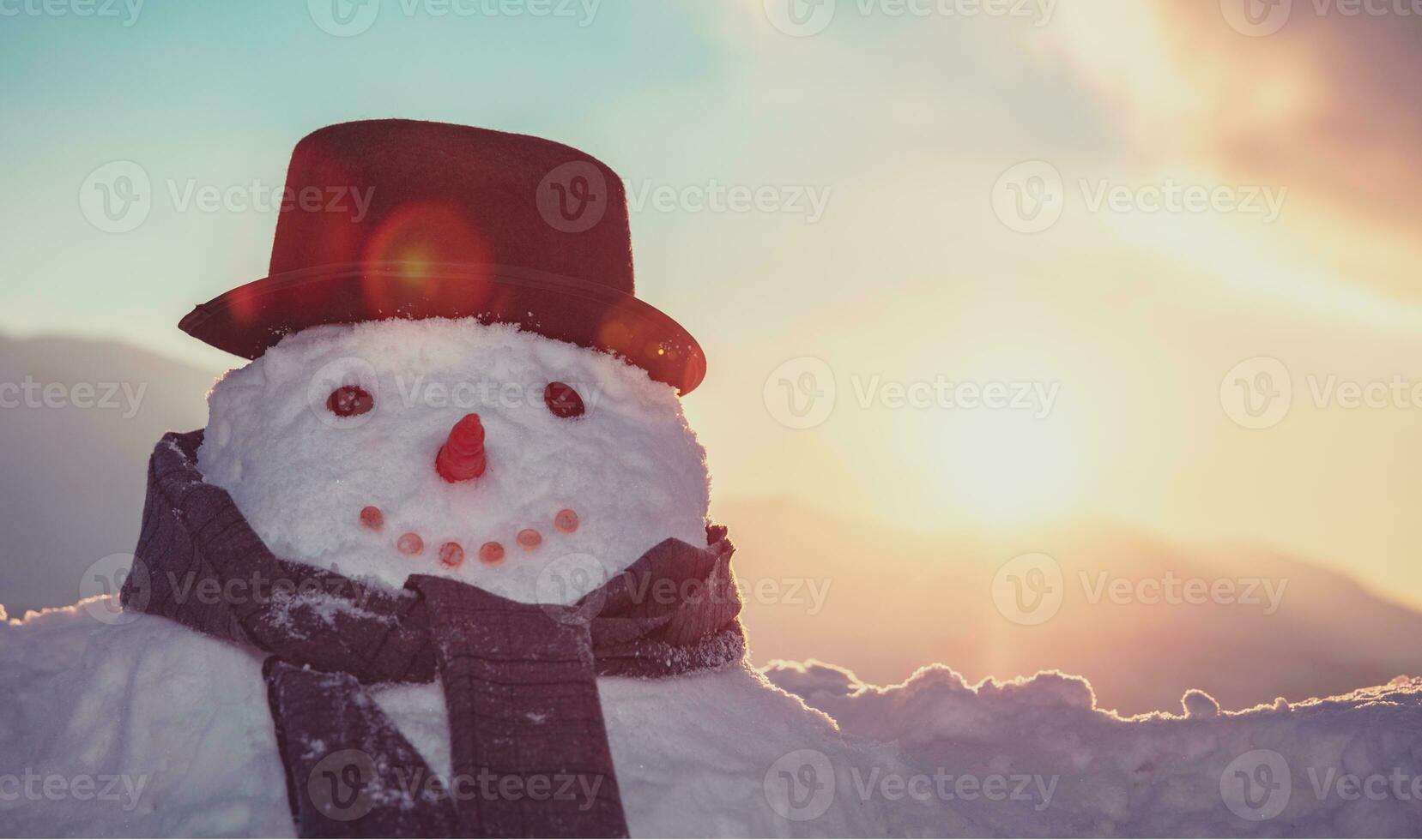 Big cute snowman portrait photo