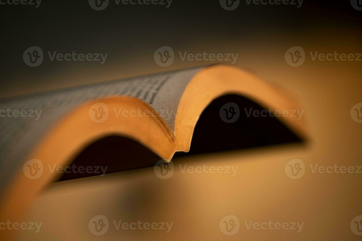 Open Book in Golden Light photo