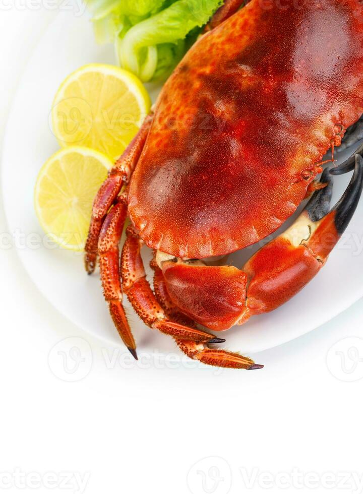 Red tasty boiled crab photo