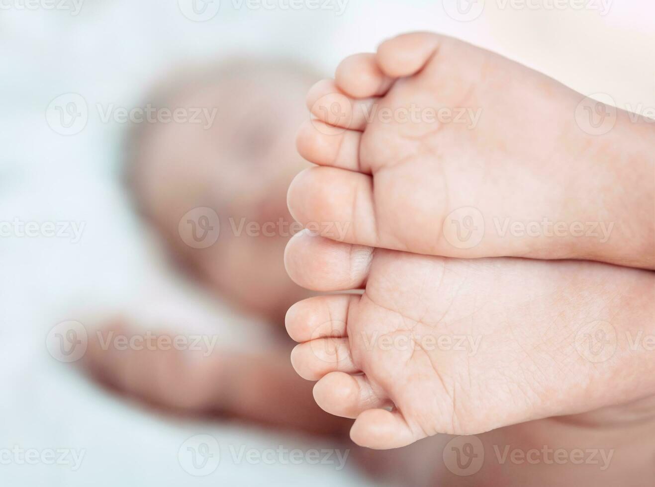 Adorable baby's feet photo