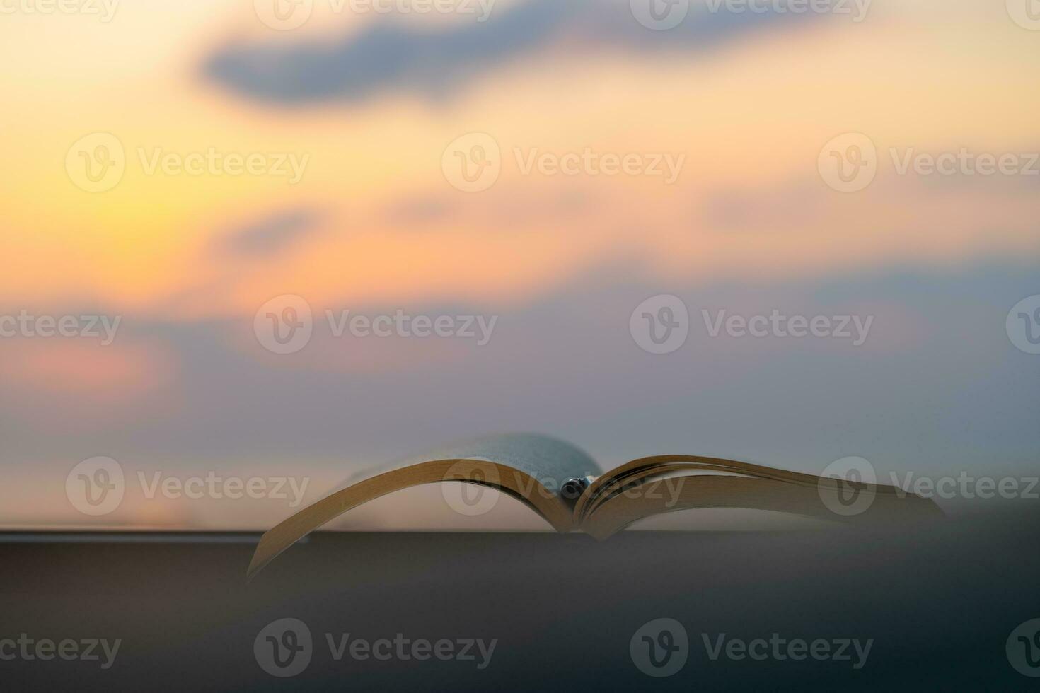 Nice Evening with a Book photo