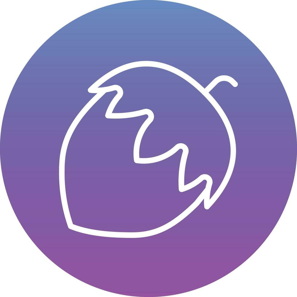 Hazelnut Vector Icon