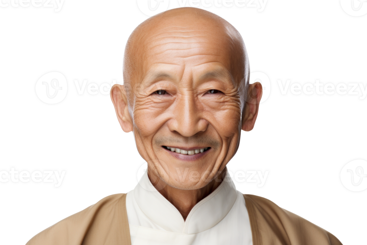 AI generated Asian Elderly Businessman Smiling Portrait png
