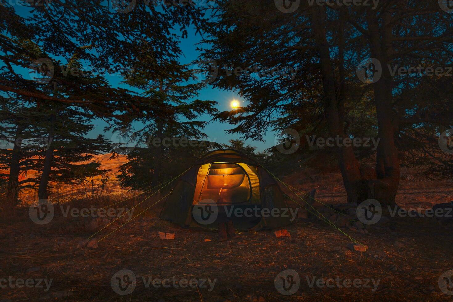 Camping at Night photo