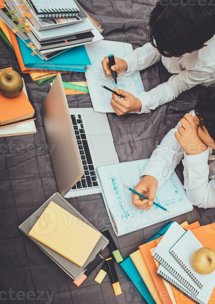 Teen Boys Doing Homework photo